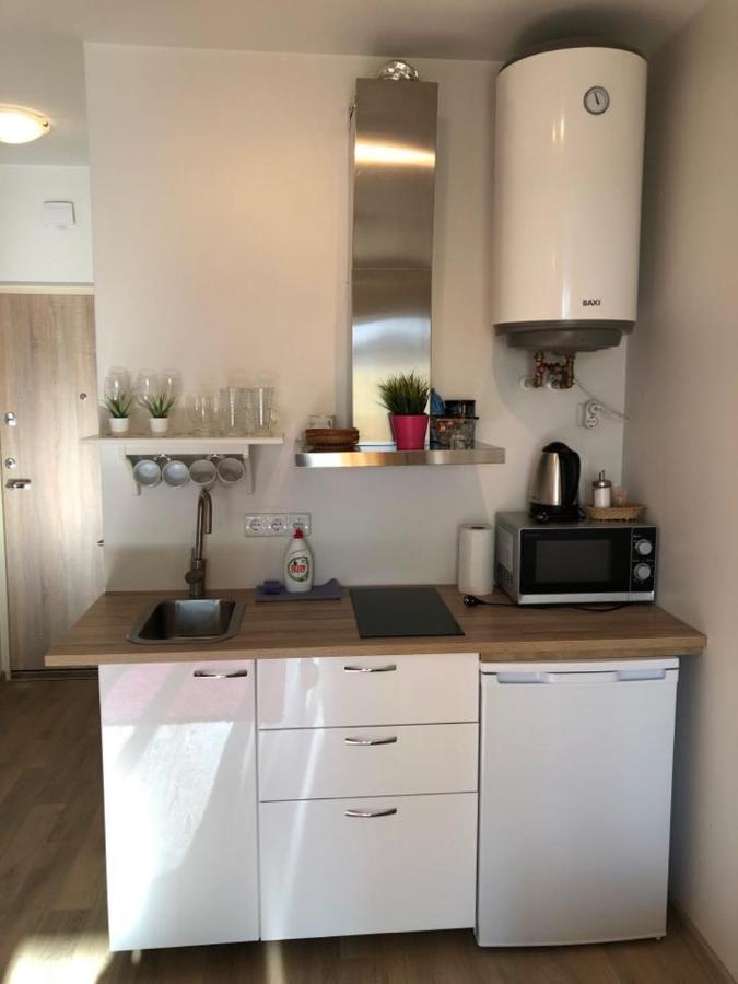 Malunu Vilos Apartment Palanga Ngoại thất bức ảnh